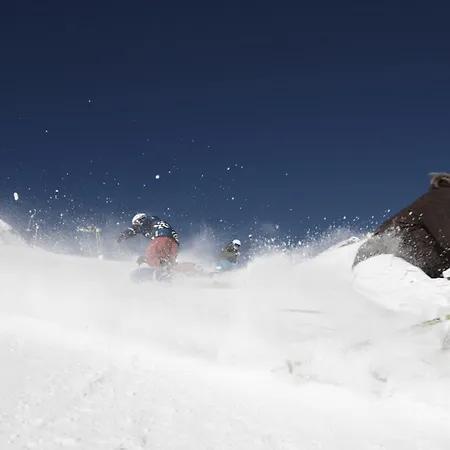 Silvretta Parkhotel Otel 4*